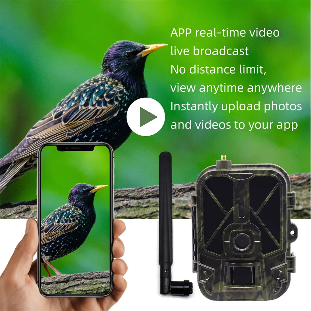 4G HD LIVE Video Lithium Battery Cellular Trail Camera 50MP 4K Wireless Game APP Cloud Service Waterproof IP66 Wildlife Cam